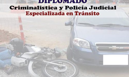 miniatura del curso
