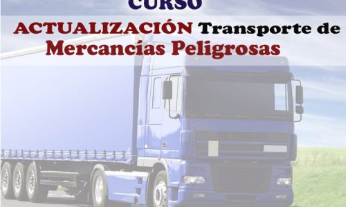 miniatura del curso
