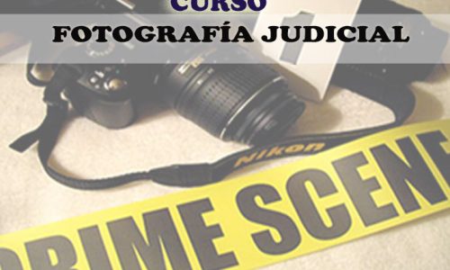 miniatura del curso