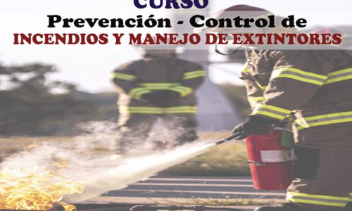 miniatura del curso