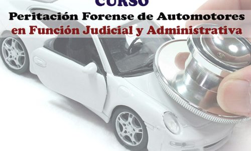 miniatura del curso