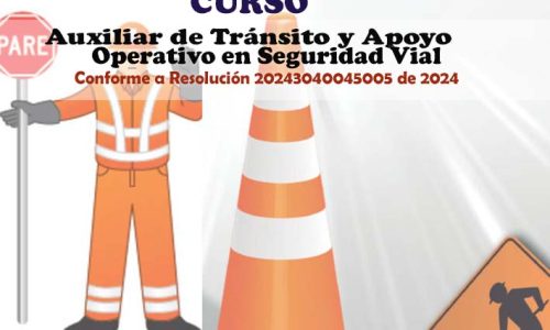 miniatura del curso