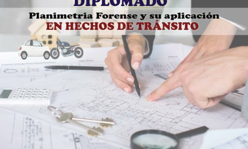 miniatura del curso