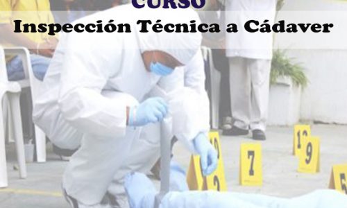 miniatura del curso