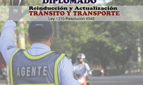 miniatura del curso